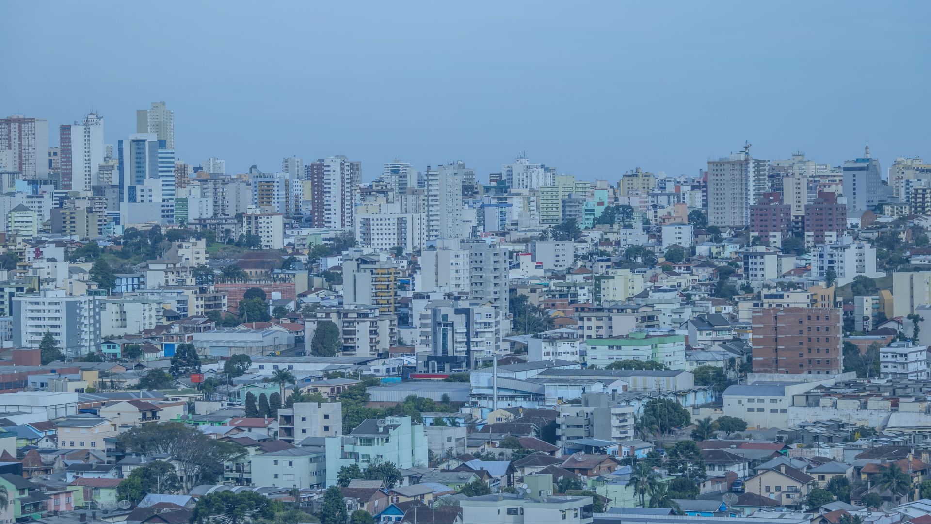 Fundação da Conduire